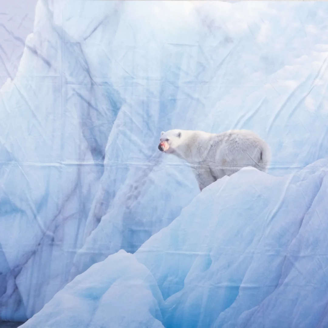 Horyzont Krajobraz Zimowy Niedźwiedź Polarny. Tło fotograficzne z zimowym krajobrazem przedstawiający majestatycznego niedźwiedzia polarnego stojącego na górze lodowej, otoczony potężnymi formacjami lodowymi w odcieniach błękitu i bieli. Niedźwiedź dodaje scenie dynamiki, a całość emanuje surowością i spokojem zimowej natury. Idealne tło na zimowy event lub wesele we Wrocławiu i okolicach. Scenografia inspirowana dziką przyrodą Arktyki, doskonała do stworzenia unikalnej atmosfery na każdej uroczystości - rent4events.pl wypożycz wrażenia, rent4weddings.pl zachowaj wspomnienia..