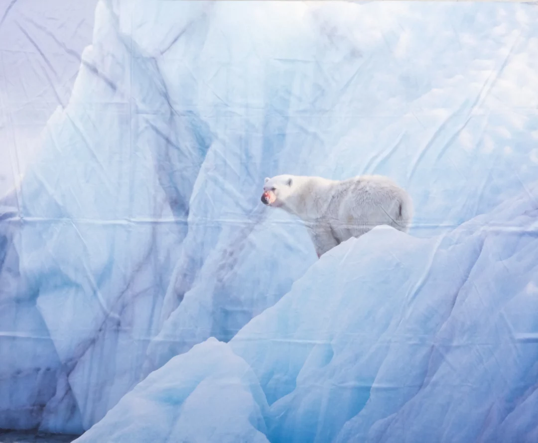 Horyzont Krajobraz Zimowy Niedźwiedź Polarny. Tło fotograficzne z zimowym krajobrazem przedstawiający majestatycznego niedźwiedzia polarnego stojącego na górze lodowej, otoczony potężnymi formacjami lodowymi w odcieniach błękitu i bieli. Niedźwiedź dodaje scenie dynamiki, a całość emanuje surowością i spokojem zimowej natury. Idealne tło na zimowy event lub wesele we Wrocławiu i okolicach. Scenografia inspirowana dziką przyrodą Arktyki, doskonała do stworzenia unikalnej atmosfery na każdej uroczystości - rent4events.pl wypożycz wrażenia, rent4weddings.pl zachowaj wspomnienia..